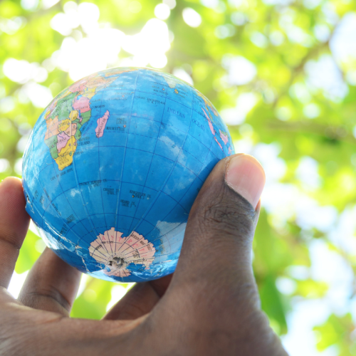 The Role of Human Rights in Sustainable Development