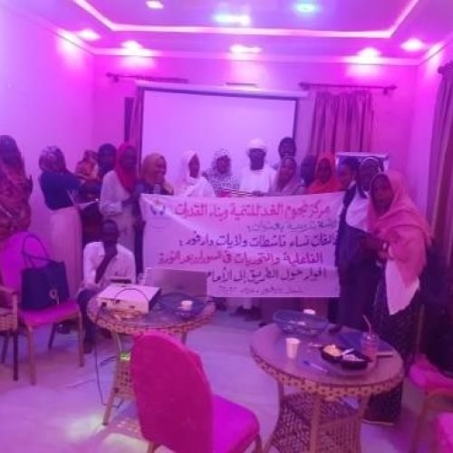 Sudanese Women Alliances Training – Activisms and Challenges